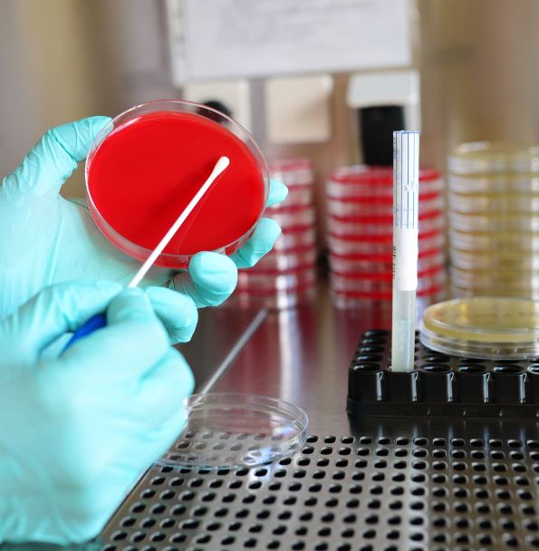 Gestión de Desechos Patológicos